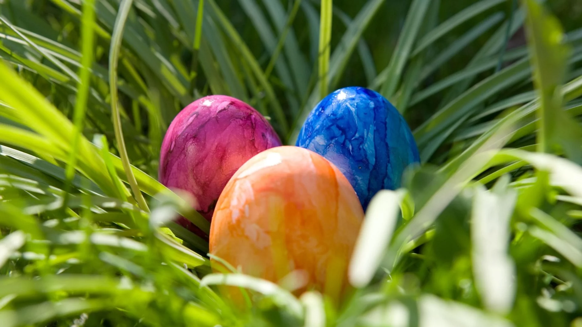 Drei bunte Ostereier im Gras