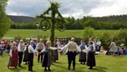 Menschen in Tracht mit Maibaum