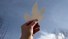 Eine Hand hält eine taubenförmige, ausgeschnittene Papiervorlage gegen einen hellen, blauen Himmel. Im Hintergrund sind vereinzelt kahle Bäume zu sehen. Die Szene vermittelt einen Eindruck von Hoffnung und Freiheit.