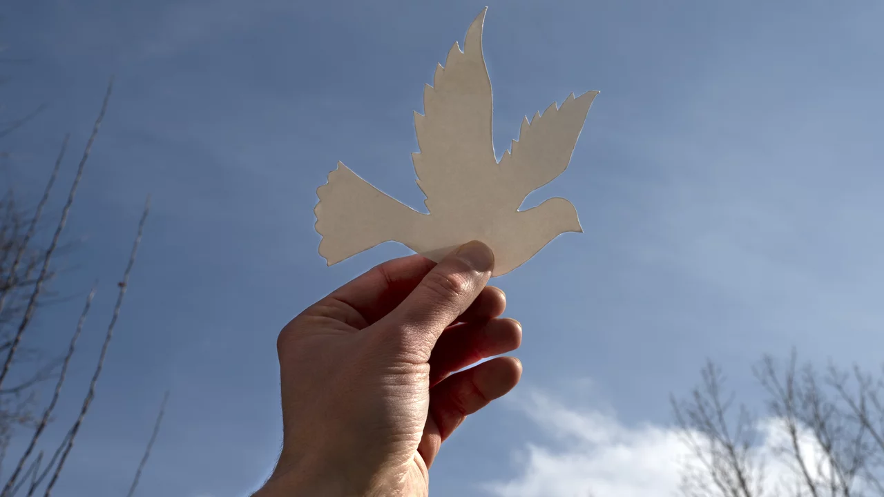 Eine Hand hält eine taubenförmige, ausgeschnittene Papiervorlage gegen einen hellen, blauen Himmel. Im Hintergrund sind vereinzelt kahle Bäume zu sehen. Die Szene vermittelt einen Eindruck von Hoffnung und Freiheit.