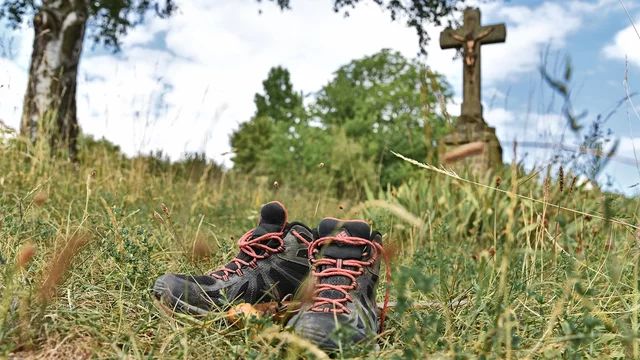 Pilgerschuhe in der Wiese