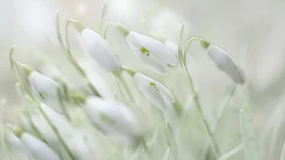 Die Tage werden länger