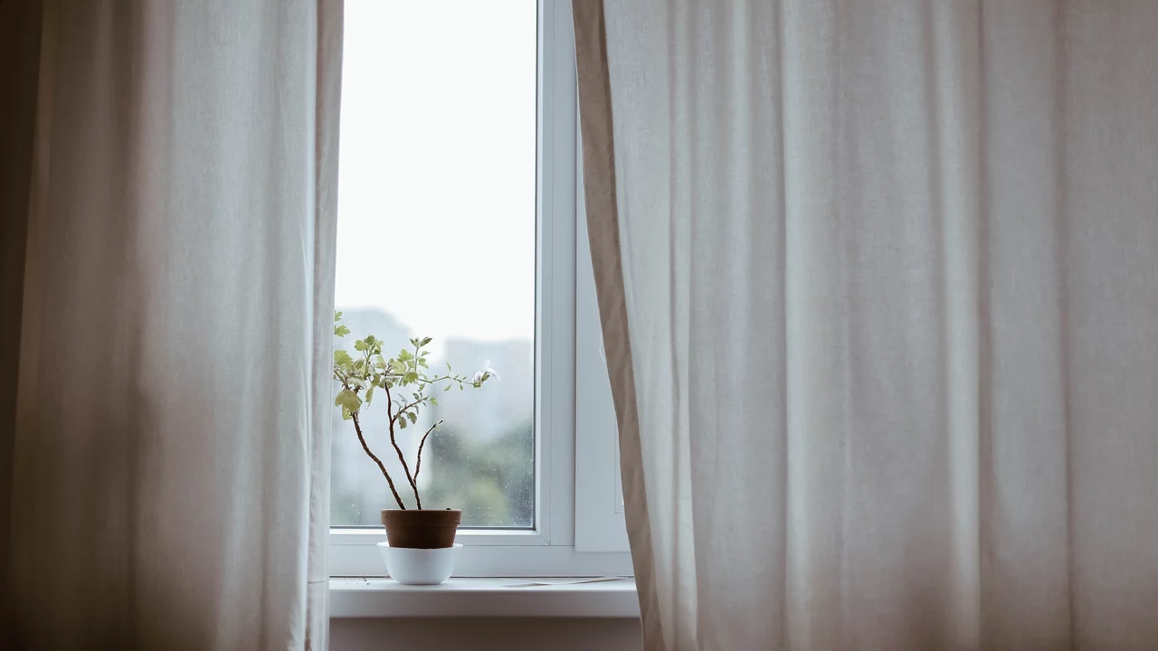 Ein Fenster mit Vorhängen und einer Zimmerpflanze. 