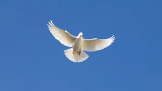 Pfingsten im hr 2025