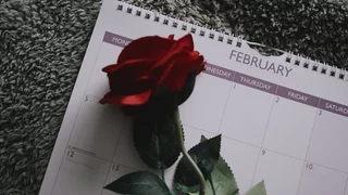 Der geschenkte Tag