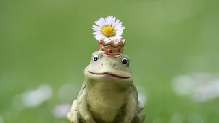 Märchenhafter Frühling im Hessenpark