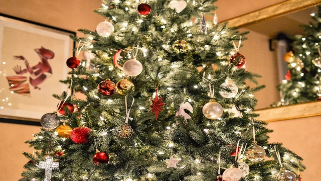 Tannenbaum im Wohnzimmer