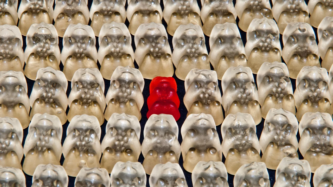 Eine Gruppe von Gummibären, hauptsächlich in transparenter oder heller Farbe, mit einem einzigen roten Gummibär als Mittelpunkt. Der rote Gummibär hebt sich deutlich von den anderen ab, die in Reihen angeordnet sind.