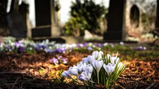 Totensonntag und Trauern im November