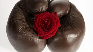 Gewalt ist keine Lösung