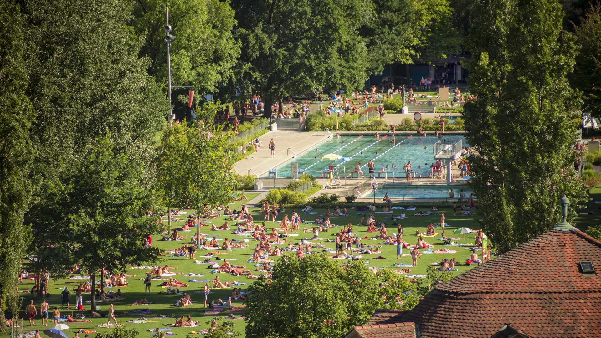 Eine belebte Parklandschaft an einem warmen Tag, in der zahlreiche Menschen auf dem Rasen liegen und sich entspannen. Im Hintergrund befindet sich ein Schwimmbecken, umgeben von Bäumen und Gräsern. Die Szenerie vermittelt eine sommerliche, entspannte Atmosphäre.
