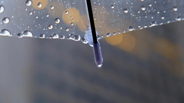 Ein transparenter Regenschirm mit Wassertropfen, die auf der Oberfläche haften. Am unteren Ende des Schirms hängen einige Tropfen, während im Hintergrund verschwommene Lichter sichtbar sind.