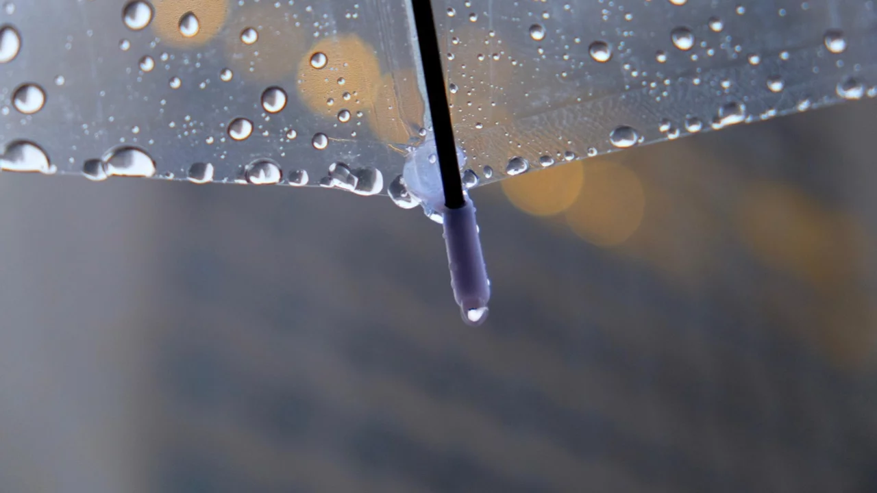 Ein transparenter Regenschirm mit Wassertropfen, die auf der Oberfläche haften. Am unteren Ende des Schirms hängen einige Tropfen, während im Hintergrund verschwommene Lichter sichtbar sind.