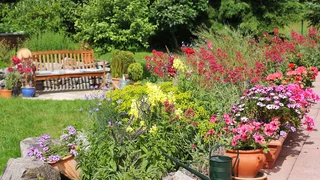 Mein Garten