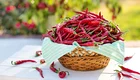 Ein Korb voller roter Chilischoten steht auf einem Tisch. Die Chilischoten sind frisch und üppig, einige liegen verstreut um den Korb. Im Hintergrund sind unscharf Pflanzen und Blumen zu erkennen, was auf eine Gartenumgebung hindeutet.