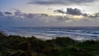 Ein Küstenbild bei Dämmerung zeigt sanfte Wellen, die gegen den Strand schlagen. Der Himmel ist mit dunklen Wolken und einem Hauch von Abendlicht gefüllt. Grüne Sträucher im Vordergrund rahmen die Szene ein und verleihen ihr eine ruhige Atmosphäre.