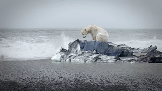 "Wir haben dem Eis beim Sterben zugesehen" - der Arktis-Fotograf Michael Gutsche