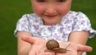 Ein kleines Mädchen hält eine große Schnecke in beiden Händen. Sie schaut gespannt und lächelt, während die Schnecke langsam über ihre Hand gleitet. Der Hintergrund ist grün, was auf eine Außenumgebung hinweist.