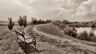Die Bank im Park
