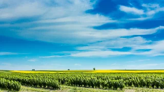 Sieben Wochen seit Siebenschläfer