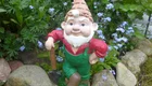 Eine Gartenfigur eines Zwerges mit rotem Hemd, grünen Latzhosen und einem spitzen Hut steht lächelnd neben blauen Blumen. In seiner rechten Hand hält er eine kleine Schaufel. Der Zwerg hat einen weißen Bart und steht auf einem bunten Steinhaufen.