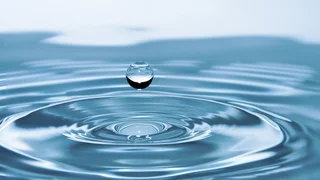 Hitzerekorde und Wasserknappheit