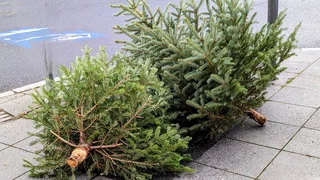 Lichtmess am 2. Februar - Jetzt ist Weihnachten endgültig vorbei!