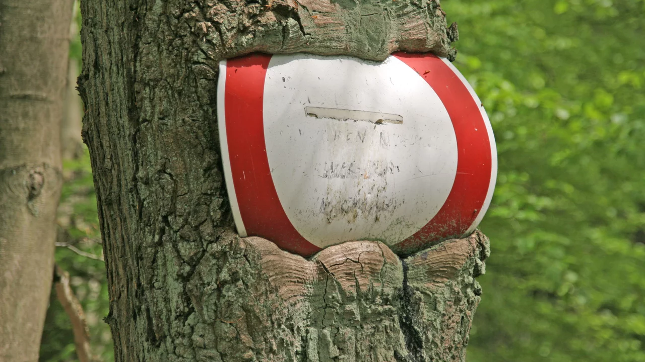Ein rotes und weißes Schild, das in einen Baumstamm eingelassen ist. Das Schild hat eine schmale Öffnung und zeigt möglicherweise Hinweise oder die Bezeichnung eines Weges. Der Baummantel und die grüne Umgebung sind sichtbar.