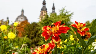 Überraschend vielfältig