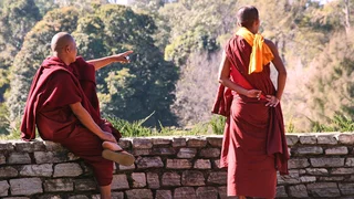 Was will der Lama mit dem Gewehr?