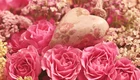 Ein Bouquet aus pechschwarzen Rosen in verschiedenen Rosa- und Pinktönen, umgeben von zarten, hellen Blumen. In der Mitte liegt ein Herz aus Holz mit floralen Mustern, das die romantische Stimmung unterstreicht.