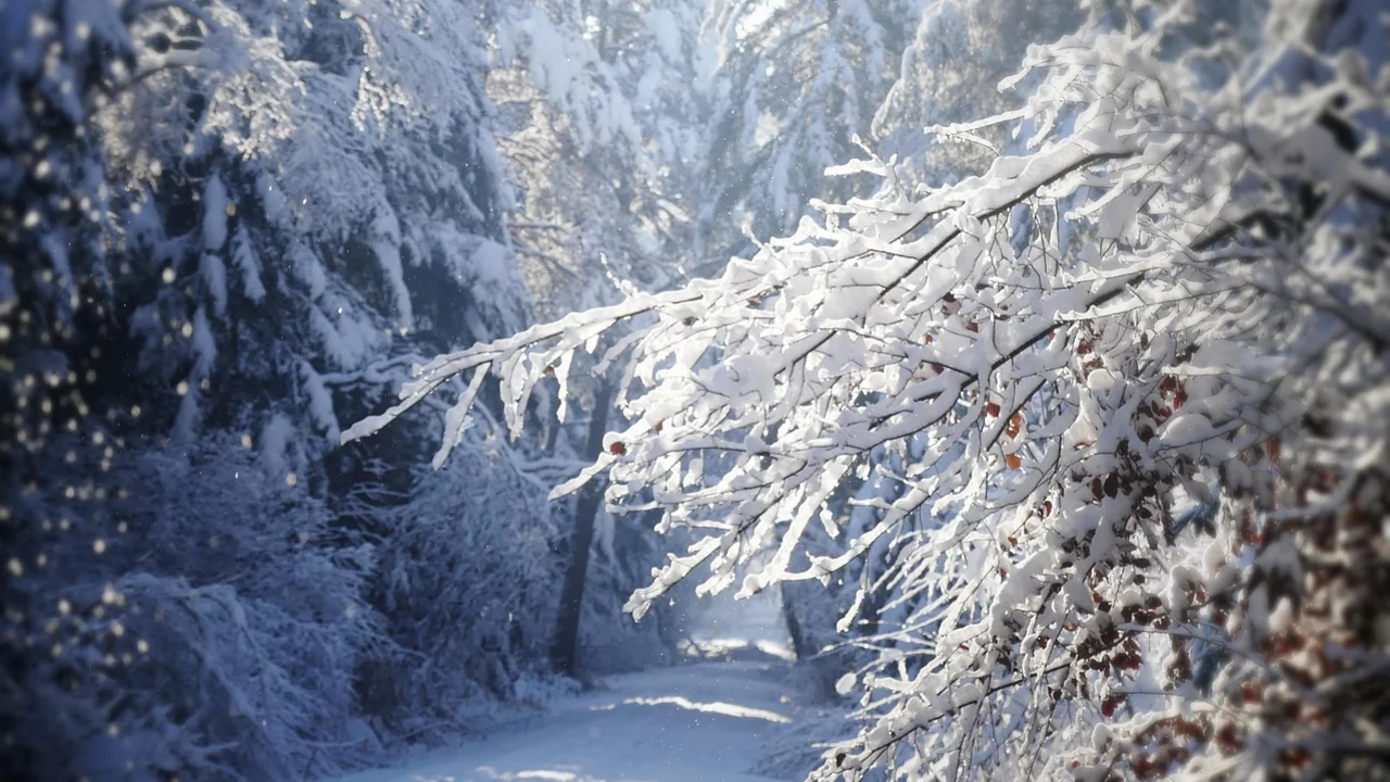 Ein wunderschöne Landschaft. 