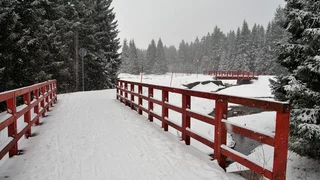 Den Weg mit Gott gehen