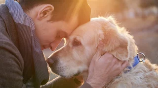 Auf den Hund gekommen