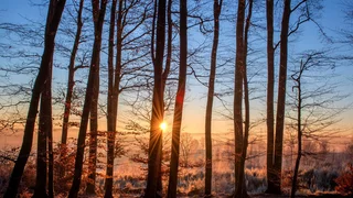 „You’ll never walk alone” von Gerry & The Pacemakers